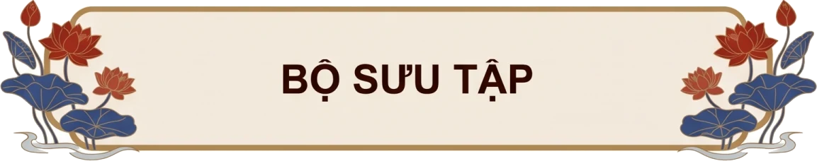 Bộ sưu tập